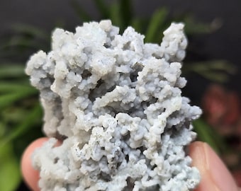 Blue Chalcedony Specimens (6 Options - You Choose!) - Natural Mineral Crystal Specimens