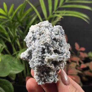 May include: A close-up of a light blue mineral specimen with a textured, bubbly surface. The mineral is held in a hand, with green plants in the background. The mineral's color is a soft, muted blue.