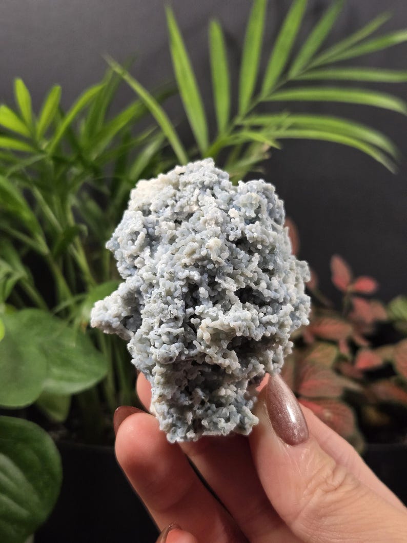 May include: A close-up of a light blue mineral specimen with a textured, bubbly surface. The mineral is held in a hand, with green plants in the background. The mineral's color is a soft, muted blue.