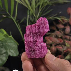 May include: A raw, vibrant magenta-colored mineral specimen with a rough, crystalline texture and a distinct vertical grooved pattern. The stone features an irregular, jagged shape and is marked with a white circular label containing the letter A.