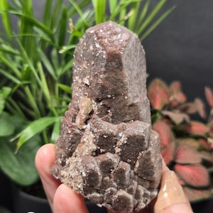 May include: A dark brown quartz crystal with a faceted, geometric structure. The crystal has a rough, textured surface with small, sparkling inclusions. The crystal is held in a hand, with green and red plants in the background.