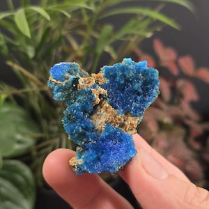 Natural Chalcanthite - Planet Mine, Arizona - Natural Mineral Crystal Specimens