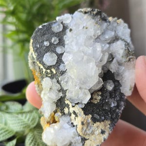 Multiple Benz Calcite on Matrix Mineral Crystal Specimens (2 Options - You Choose!)