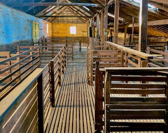 Rustic Shearing Shed Jigsaw Puzzle – Australian Outback Charm, Recycled Materials