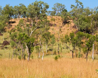 Kimberley Landscape Art Print | Vibrant Australian Outback - Wall Art Instant Download