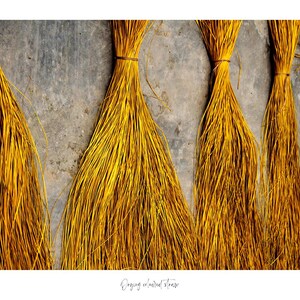 HOI AN PHOTOGRAPHY | Vietnam Wall Art | Southeast Asia Art | Vietnam Travel Print | Aesthetic Boho Decor Photography Print Wall Art
