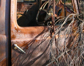 Vintage Truck in Nature's Embrace | Australian Outback Wall Art (Digital Download)