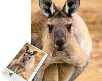 Kangaroo Jigsaw Puzzle | Australian Wildlife Art, Recycled