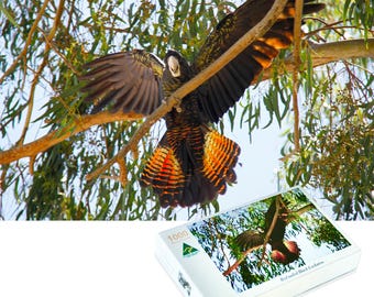 Red-Tailed Black Cockatoo Jigsaw Puzzle | Australian Wildlife Art