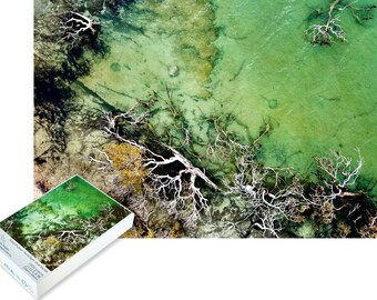 Shark Bay Stingray Jigsaw Puzzle | Aussie-Made, Nature Wildlife