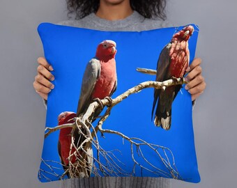 Galah Bird Pillow: Australian Art Print, Western Australia