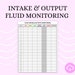 Fluid Intake and Output Monitoring Sheet - Etsy