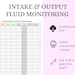 Fluid Intake and Output Monitoring Sheet - Etsy