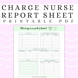 Charge Nurse Report Sheet, LVN Nursing Documentation, LPN Charting, Skilled Nursing Charting, Long Term Care Report, Nursing Shift Organizer