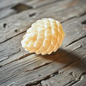Pinecone Candle, Soy Wax Candle, Christmas Eve Candles, Holiday Candles, Christmas Gift, Winter Candle, Christmas Home Decor