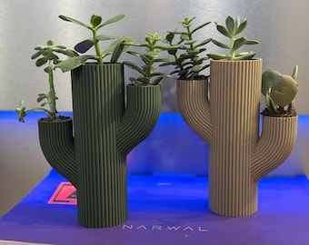 Vaso CACTUS per piante grasse
