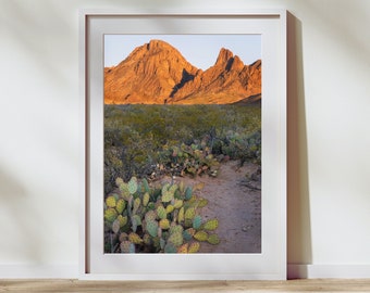 Puede incluir: Fotografía enmarcada de un paisaje desértico. La imagen muestra una cordillera iluminada por la cálida luz del sol, con cactus y vegetación desértica en primer plano. El marco es blanco y la estética general es natural y serena.