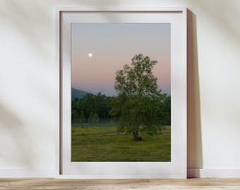 Salida de la luna sobre Cades Cove - Parque Nacional de las Grandes Montañas Humeantes, Impresión de fotografía de paisaje, Impresión de fotografía de bellas artes, Tennessee, Arte de pared