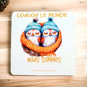 Cartes étapes Jumeaux- 1ère année bébés- Mois anniversaire- jumeaux - cadeaux - Animaux