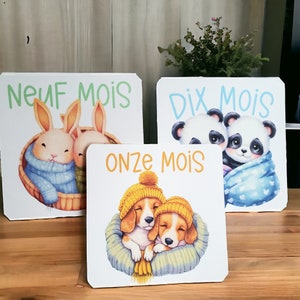 Cartes étapes Jumeaux- 1ère année bébés- Mois anniversaire- jumeaux - cadeaux - Animaux image 6