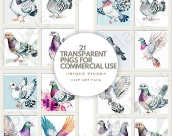 Watercolor Pigeon Clipart | 21 PNG Species Graphics (Digital Download)