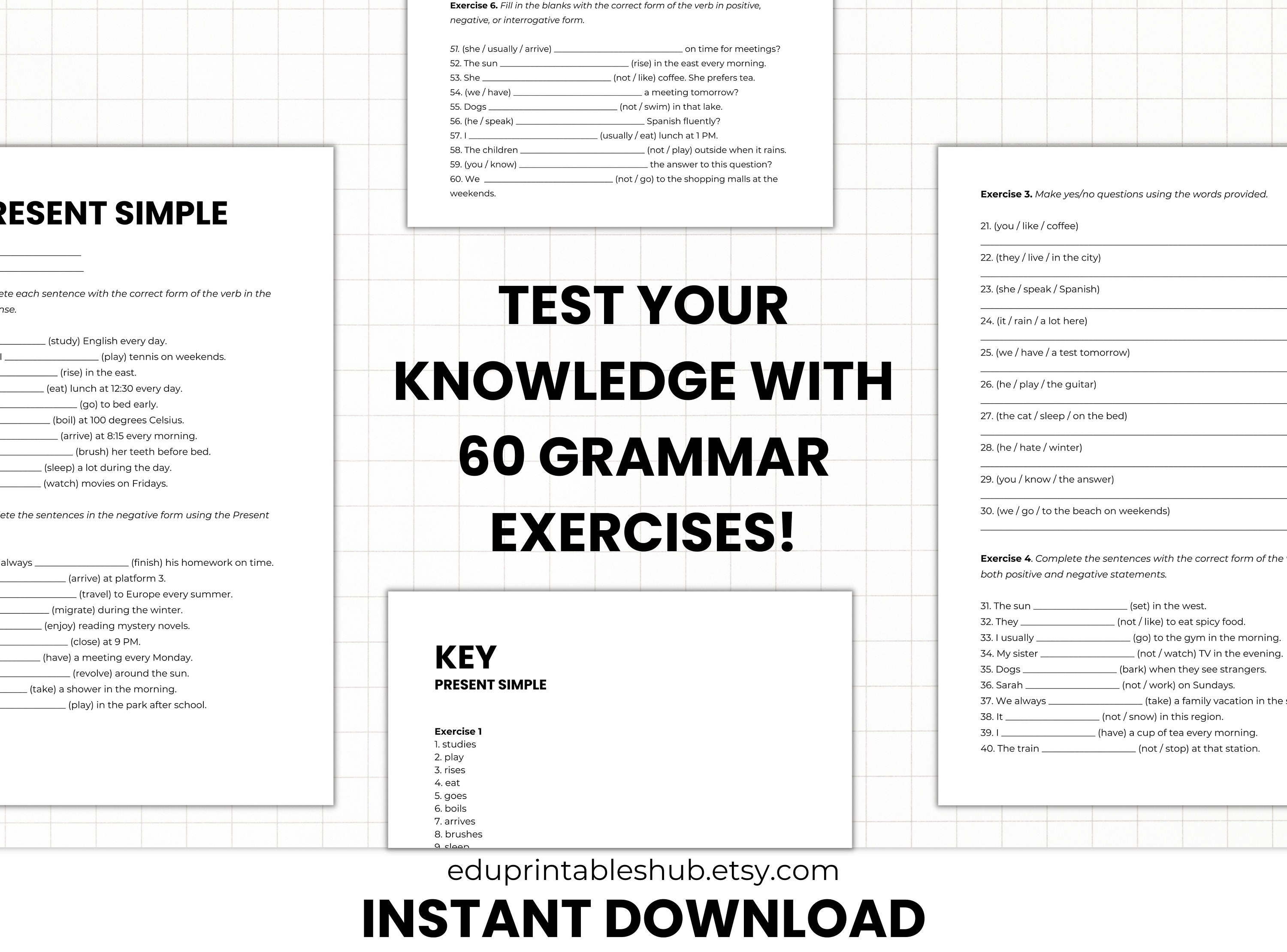 PRESENT SIMPLE Grammar Pack Printablei Grammar Worksheets - Etsy
