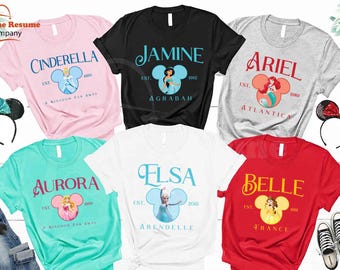 Disney Princess Shirts, Matching Group Disney Shirts, Disney Bounding Shirts, Aurora Shirt, Elsa Shirt, Anna Shirt, Cinderella Shirt, Ariel