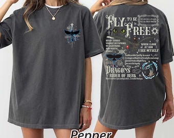 Comfort Colors® Night Fury Dragon Shirt, Gift For Dragon Lovers, How To Train Your Dragon Tee, Toothless Two-Sided Shirts, Disneyland Shirt
