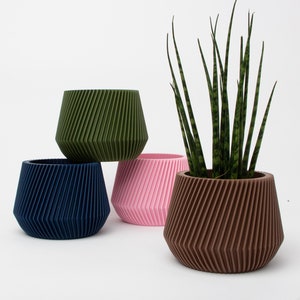 May include: Four geometric planters in different colours: green, blue, pink, and brown. The brown planter has a green plant inside.