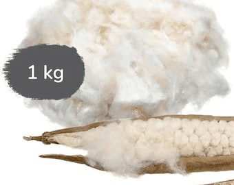 Kapok Füllmaterial Nachfüllpack| 1 kg Kapok | Für Stillkissen, Kissen und Decken | Bio-Qualität | vegan & naturbelassen | Minky Mooh