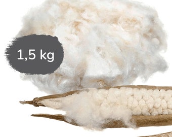 Kapok Füllmaterial Nachfüllpack| 1,5 kg Kapok | Für Stillkissen, Kissen und Decken | Bio-Qualität | vegan & naturbelassen | Minky Mooh