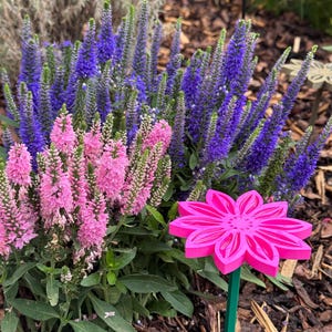 "Insektentränke Blumenform" in pink