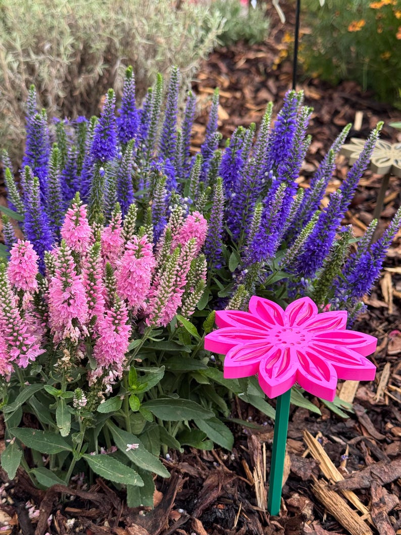 "Insektentränke Blumenform" in pink