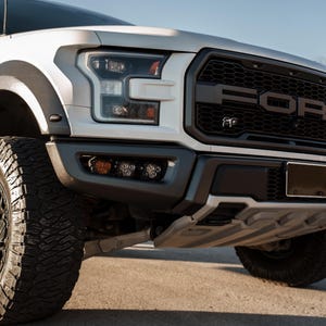 Emblemat Ford Performance FP 17-20 (pasuje do Raptor 17-20) White/Black