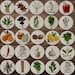 Printable Herb and Spice Labels PNG &amp; PDF Sheets, Apothecary Round Tags ...