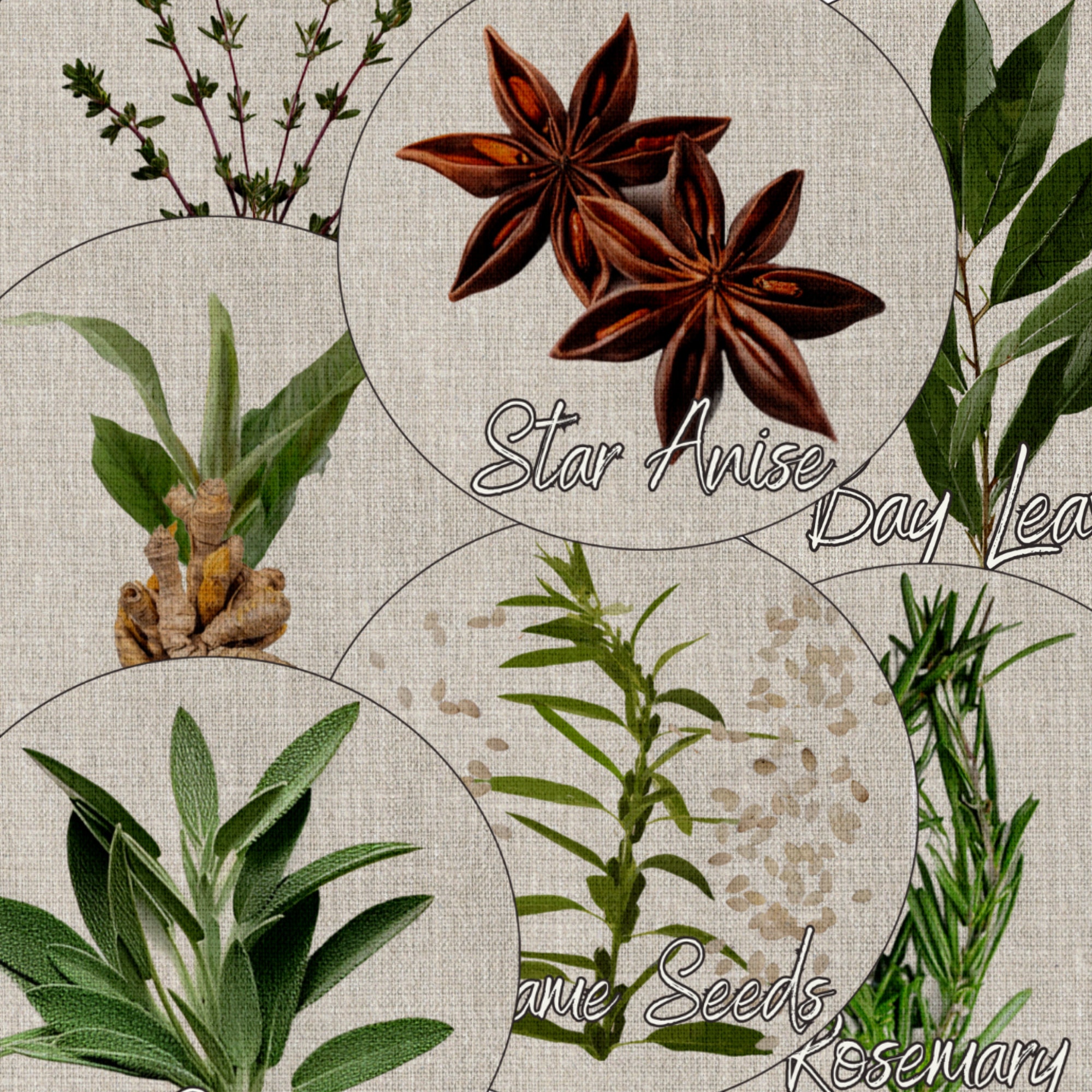 Printable Herb and Spice Labels PNG &amp; PDF Sheets, Apothecary Round Tags ...