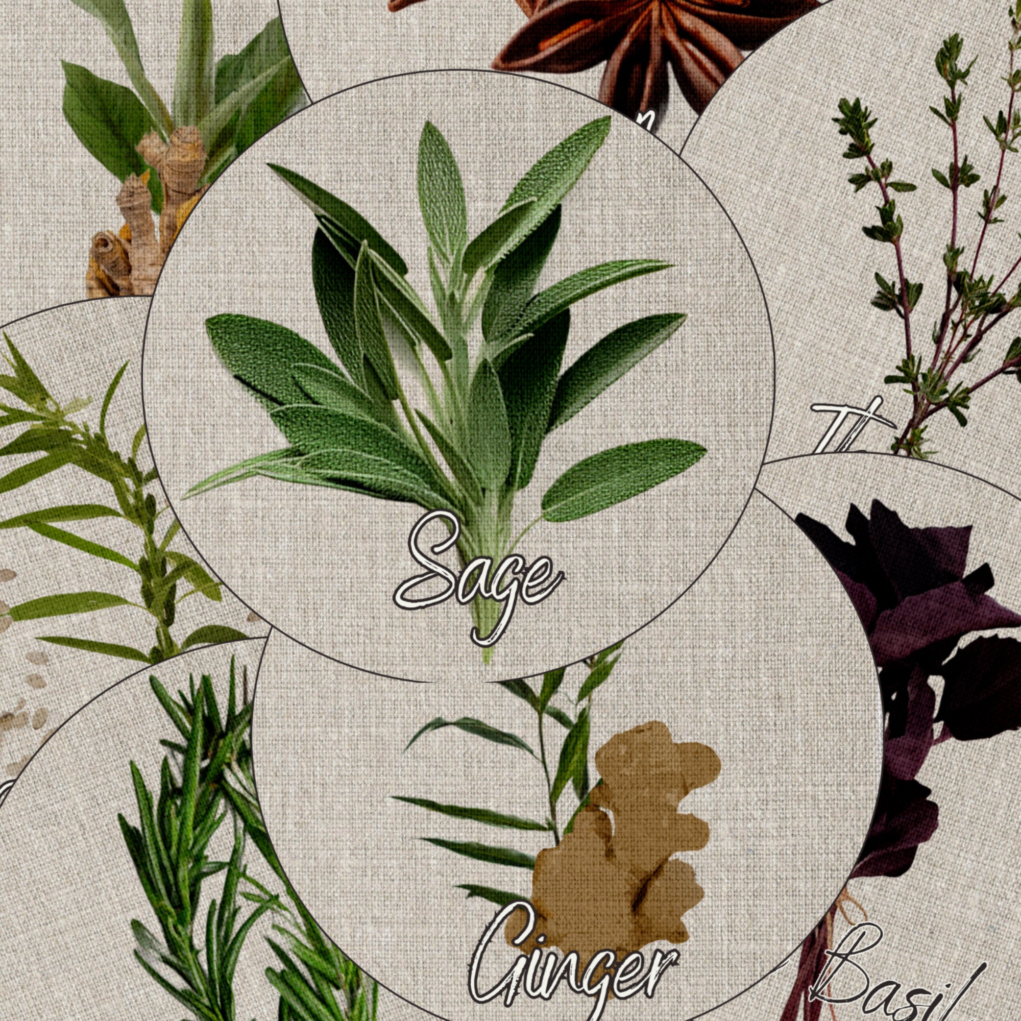 Printable Herb and Spice Labels PNG &amp; PDF Sheets, Apothecary Round Tags ...
