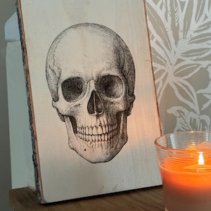 May include: A black and white illustration of a human skull is printed on a piece of wood with a natural bark edge. The skull is centered on the wood, with detailed shading. A lit orange candle in a glass jar sits nearby.