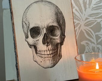Lasergravierte Schädelkunst auf Live Edge Holz – Anatomische Illustration, gotische Wanddekoration, gravierte Holzplatte, Kuriositäten