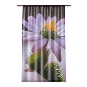Eleganter Fenstervorhang - Wohnkultur-Akzent