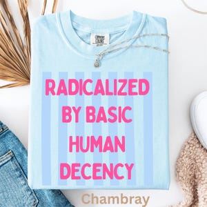 Puede incluir: Camiseta azul claro con el texto rosa "RADICALIZED BY BASIC HUMAN DECENCY" sobre un fondo de rayas verticales azules claras. Un collar plateado con un pequeño colgante descansa sobre la camiseta. La palabra "Chambray" está abajo.