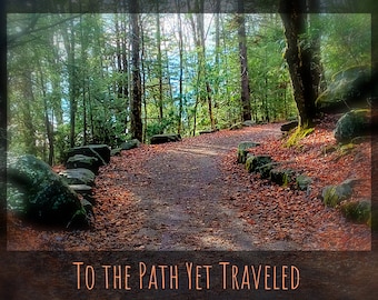 To The Path Yet Traveled