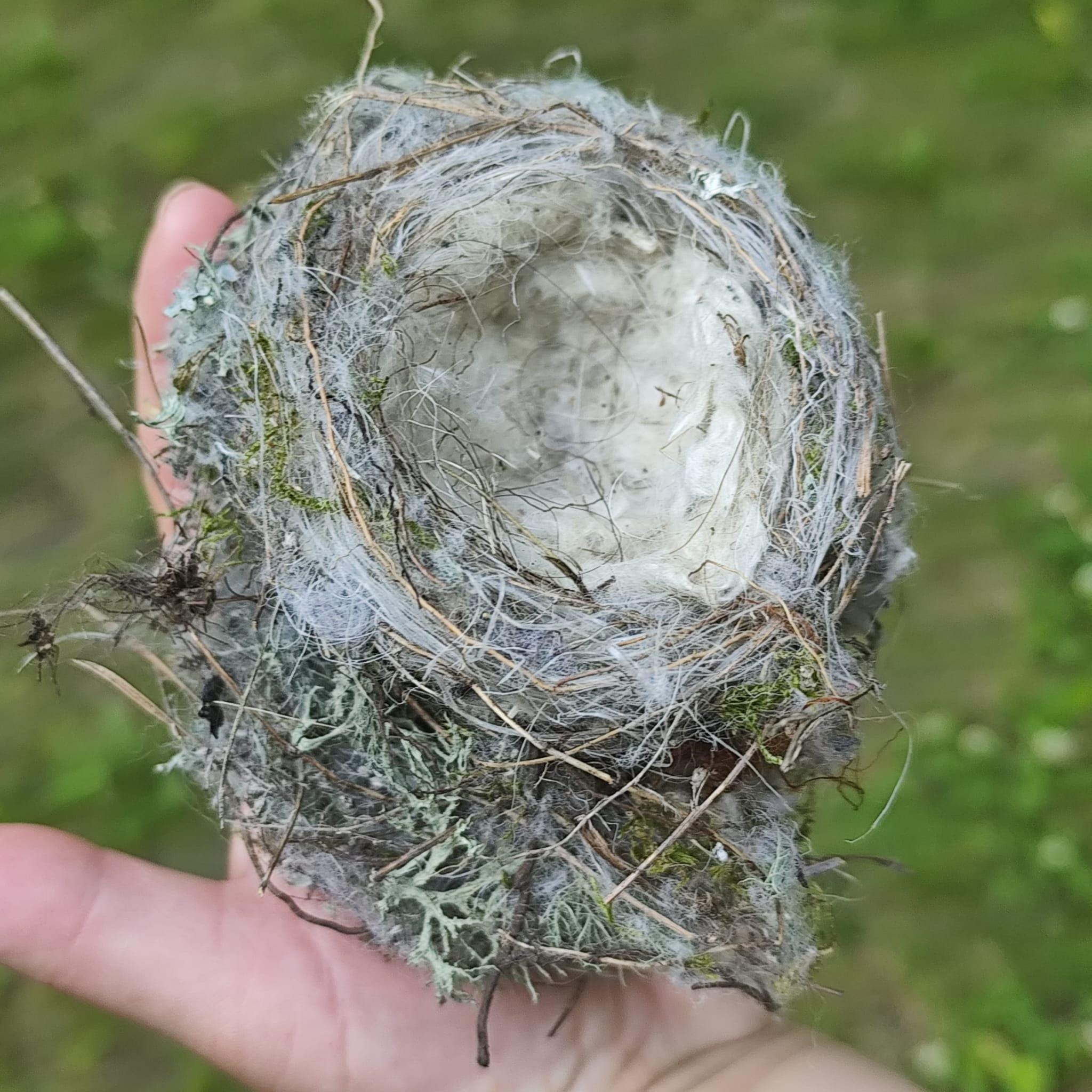 How to Make a Birds Nest Photography Prop: Easy DIY Guide
