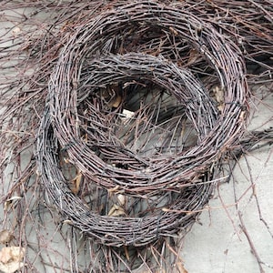 Wreath Base Handmade Birch Twig Wreath Dreamcatcher Home Decor Country House set of two
