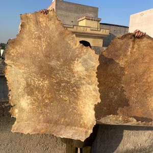May include: Two large, irregularly shaped pieces of tanned leather, held up against a bright sky. The leather has a mottled, light brown color with darker spots and a rough, uneven edge. The texture appears to be coarse and natural.