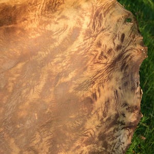 Op de afbeelding: Een close-up van een groot, lichtbruin stuk leer met een uniek, swirlend patroon. Het leer heeft een natuurlijke, rustieke uitstraling en textuur.