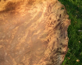 Horse Hide for Mega Drum or Shaman Drum (60, 40, 36 inch)