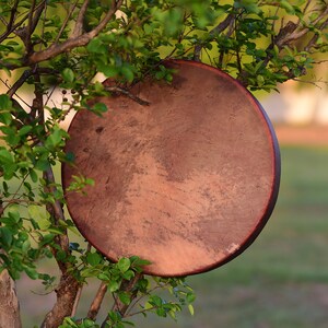 May include: A brown leather drum with a wooden frame hanging from a tree branch. The drum is in focus, while the tree and background are blurred.