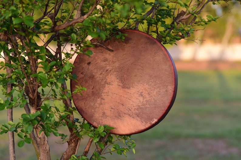 May include: A brown leather drum with a wooden frame hanging from a tree branch. The drum is in focus, while the tree and background are blurred.