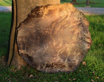 Horse hide 60 inch 40 inch, 36 inch Horse skin for mega mother drum or shaman drum.